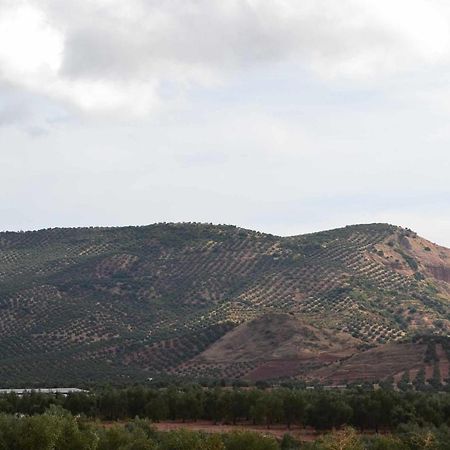 Finca El Vizconde Naturaleza Con Tus Hijos Arquillos エクステリア 写真