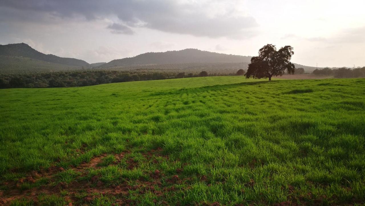 Finca El Vizconde Naturaleza Con Tus Hijos Arquillos エクステリア 写真