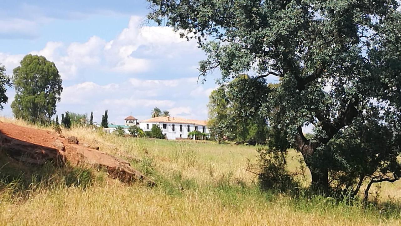 Finca El Vizconde Naturaleza Con Tus Hijos Arquillos エクステリア 写真