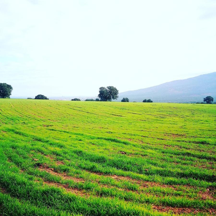 Finca El Vizconde Naturaleza Con Tus Hijos Arquillos エクステリア 写真