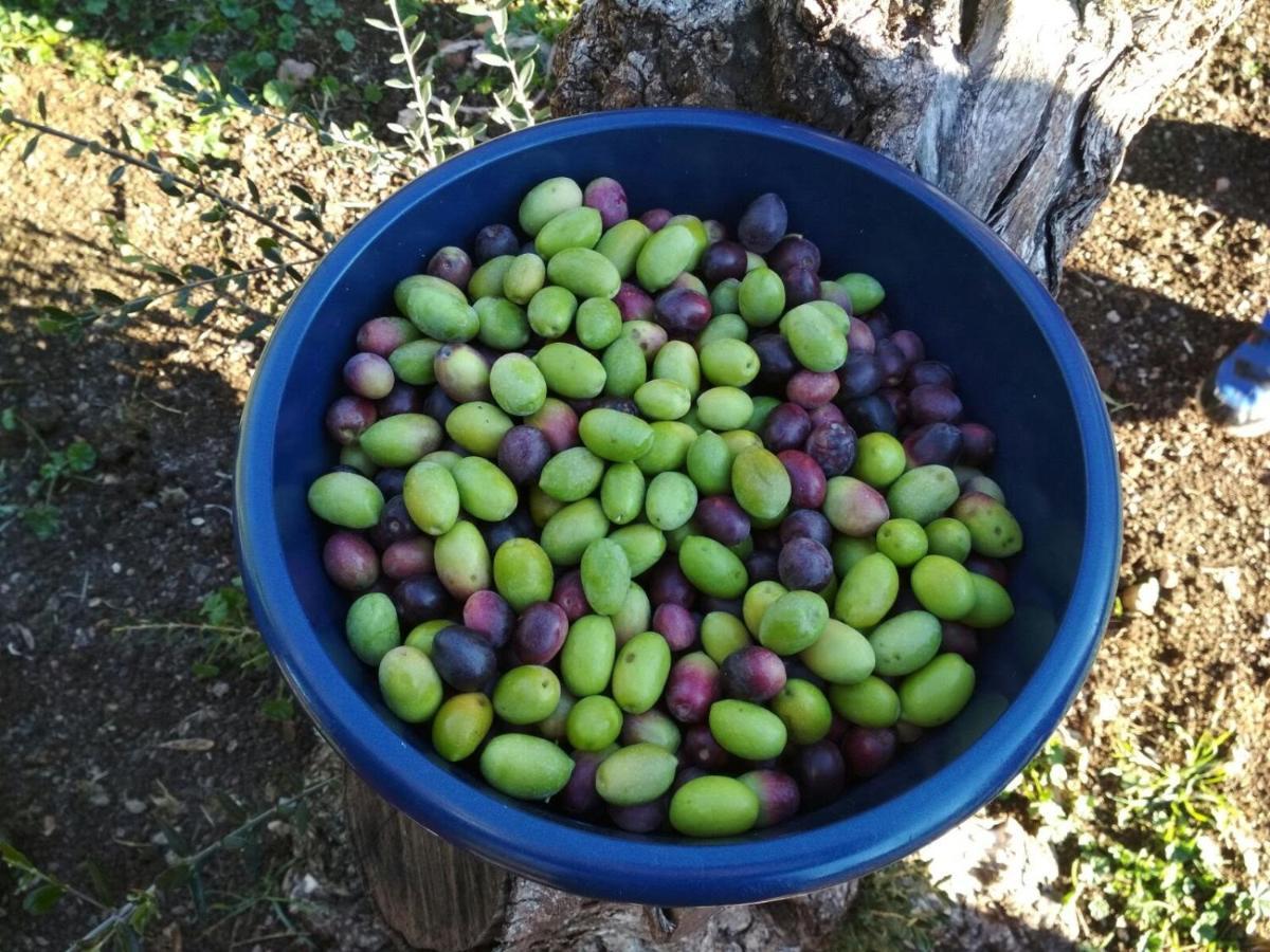 Finca El Vizconde Naturaleza Con Tus Hijos Arquillos エクステリア 写真