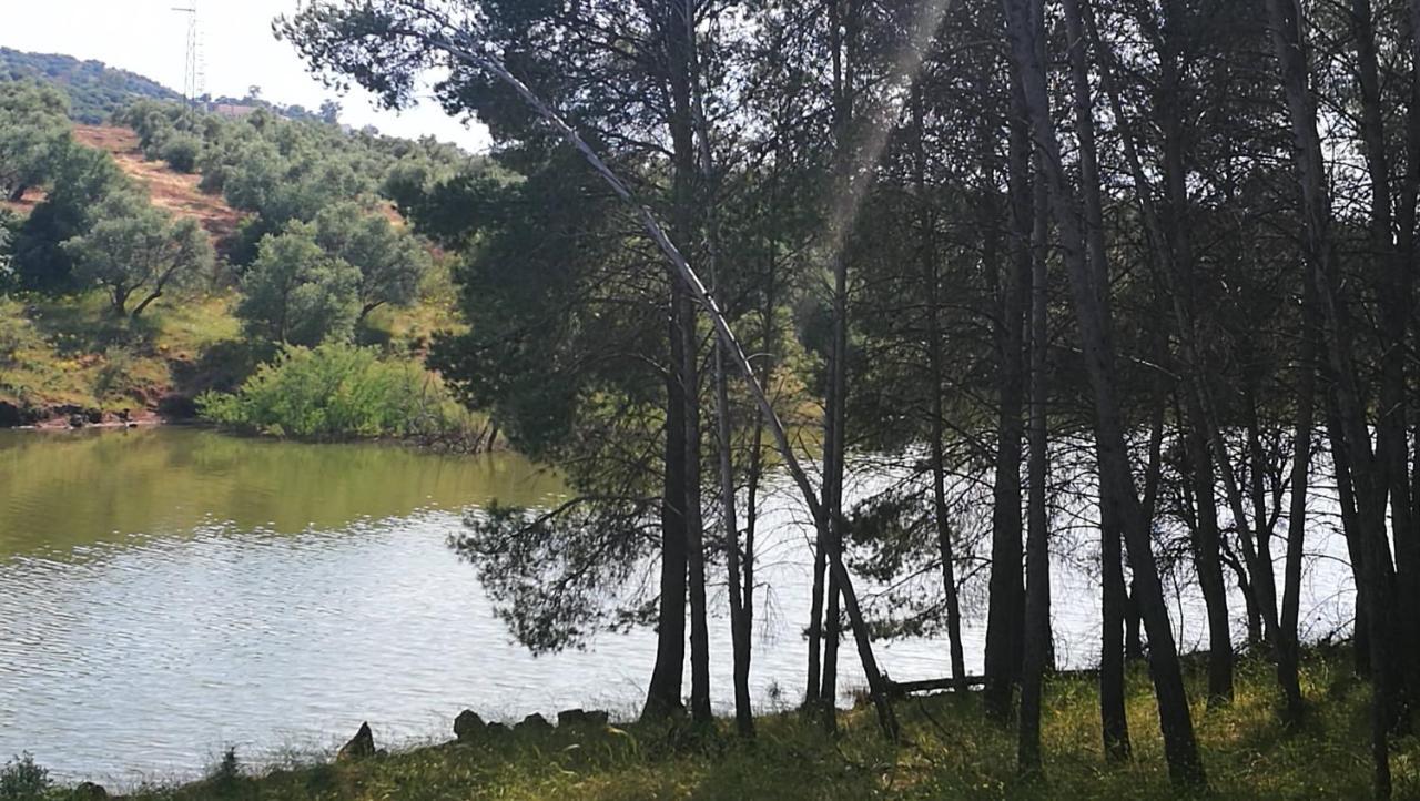 Finca El Vizconde Naturaleza Con Tus Hijos Arquillos エクステリア 写真