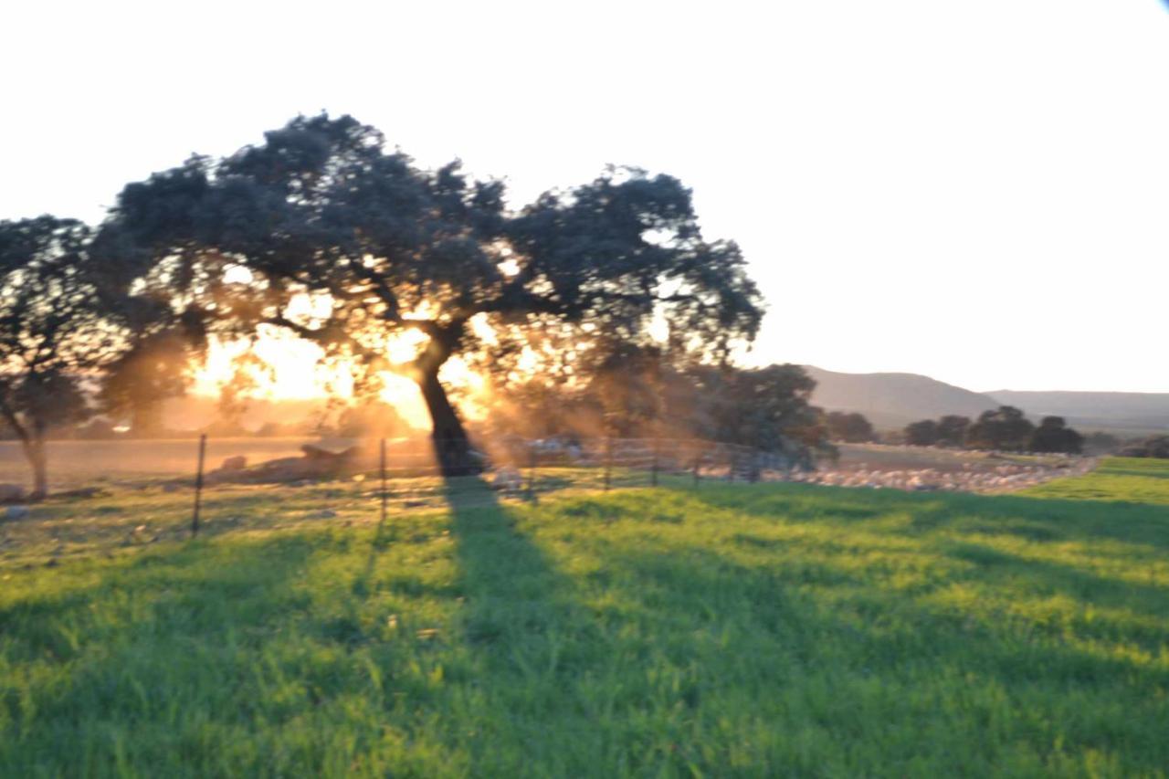 Finca El Vizconde Naturaleza Con Tus Hijos Arquillos エクステリア 写真