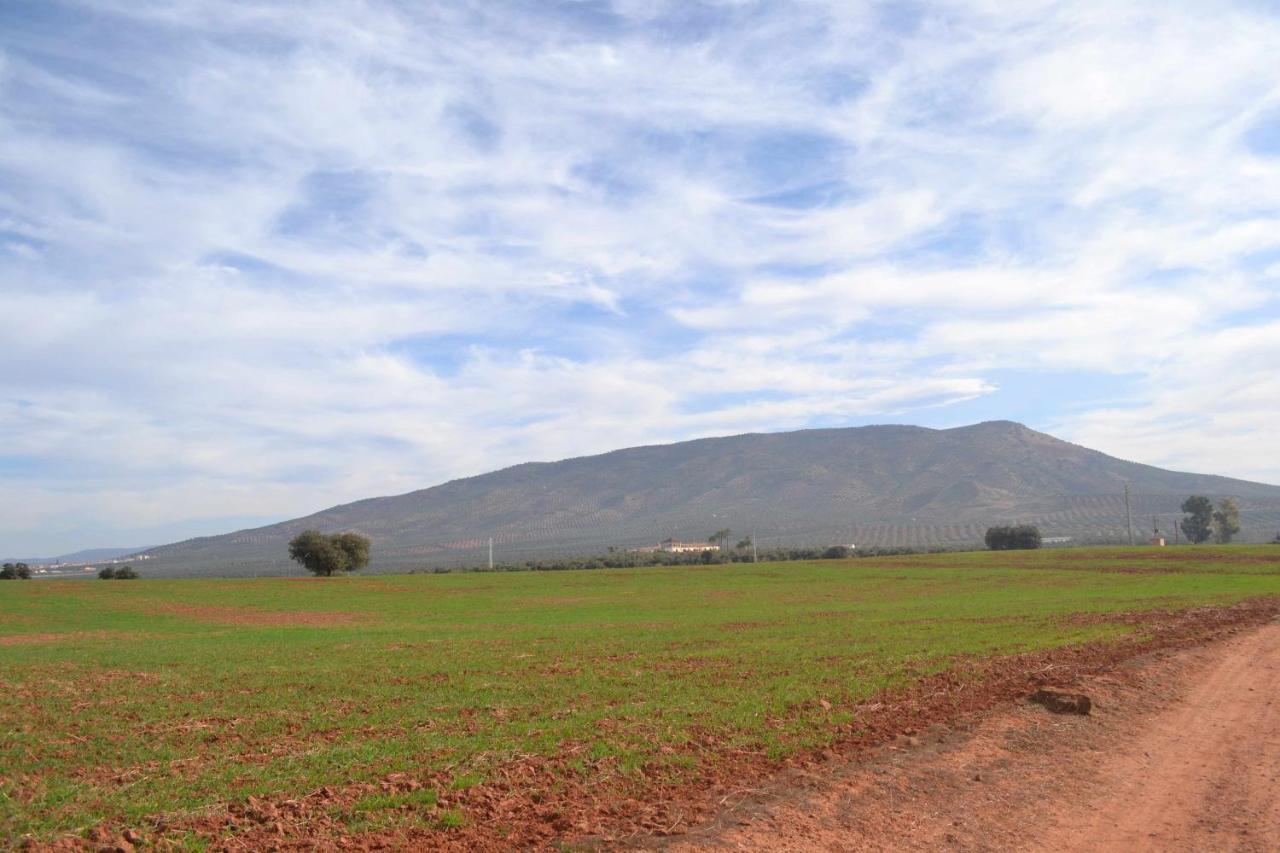 Finca El Vizconde Naturaleza Con Tus Hijos Arquillos エクステリア 写真