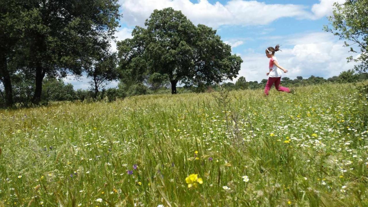 Finca El Vizconde Naturaleza Con Tus Hijos Arquillos エクステリア 写真