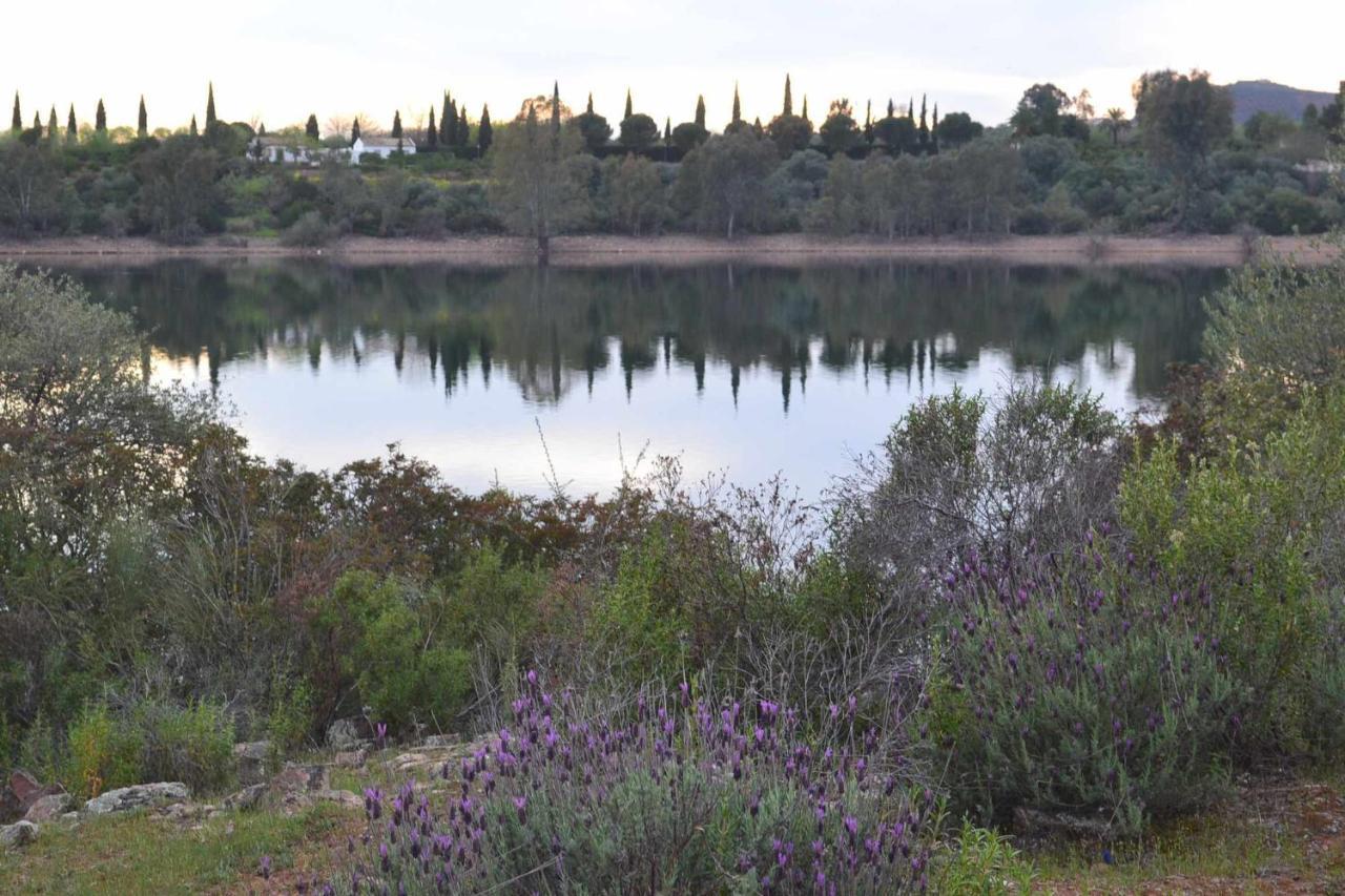 Finca El Vizconde Naturaleza Con Tus Hijos Arquillos エクステリア 写真