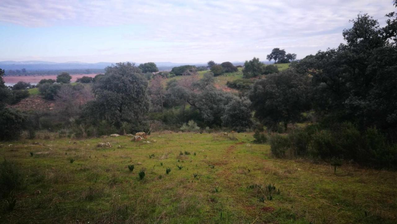 Finca El Vizconde Naturaleza Con Tus Hijos Arquillos エクステリア 写真