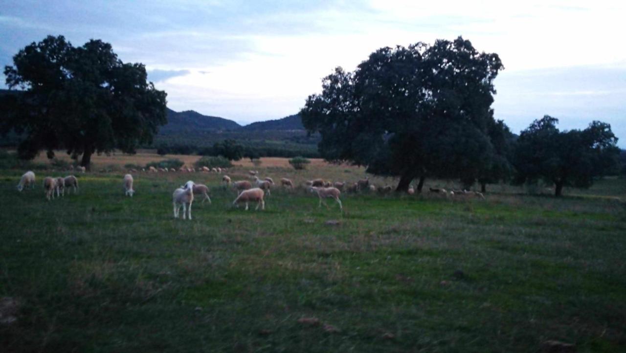 Finca El Vizconde Naturaleza Con Tus Hijos Arquillos エクステリア 写真