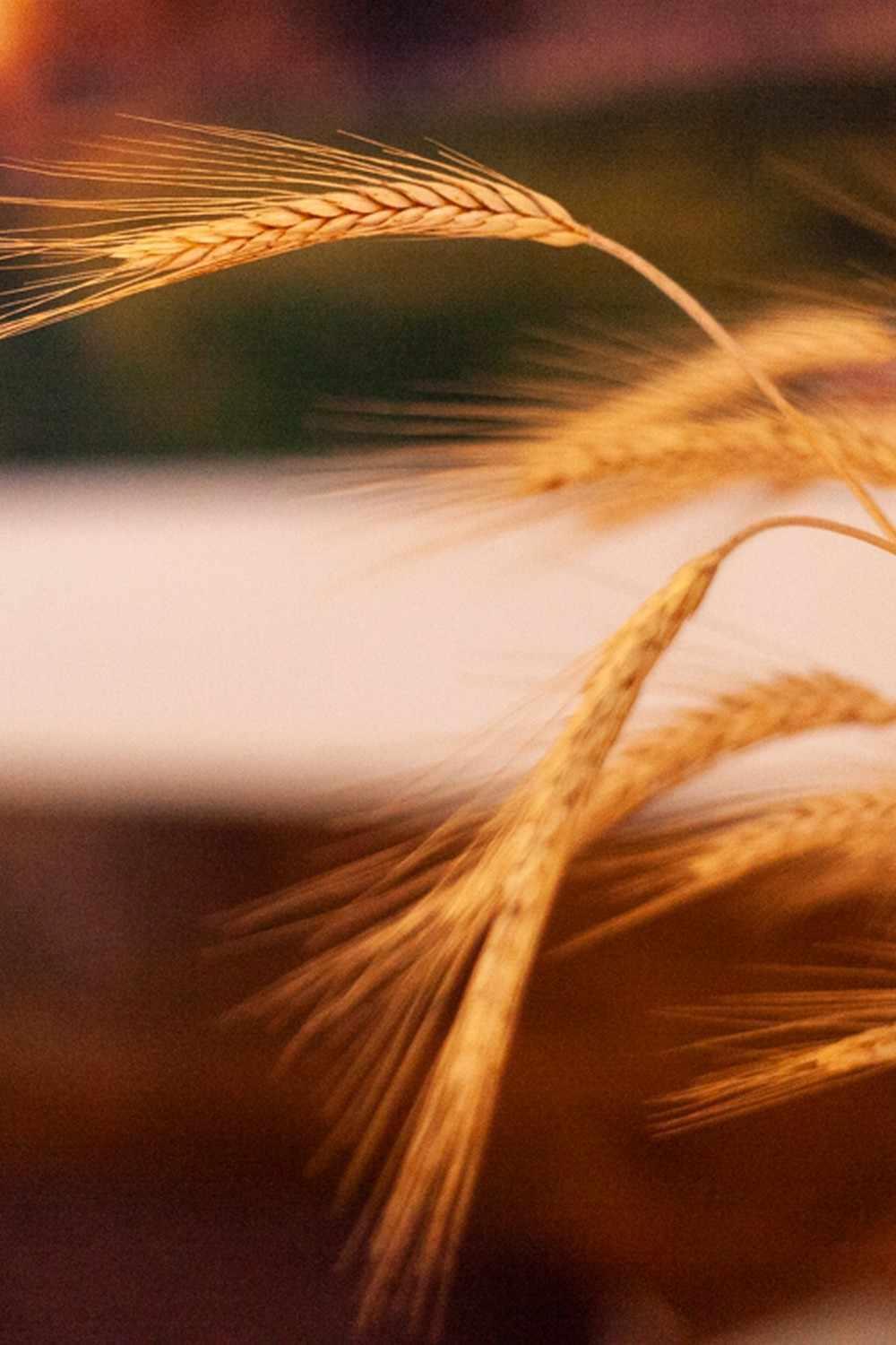 Finca El Vizconde Naturaleza Con Tus Hijos Arquillos エクステリア 写真