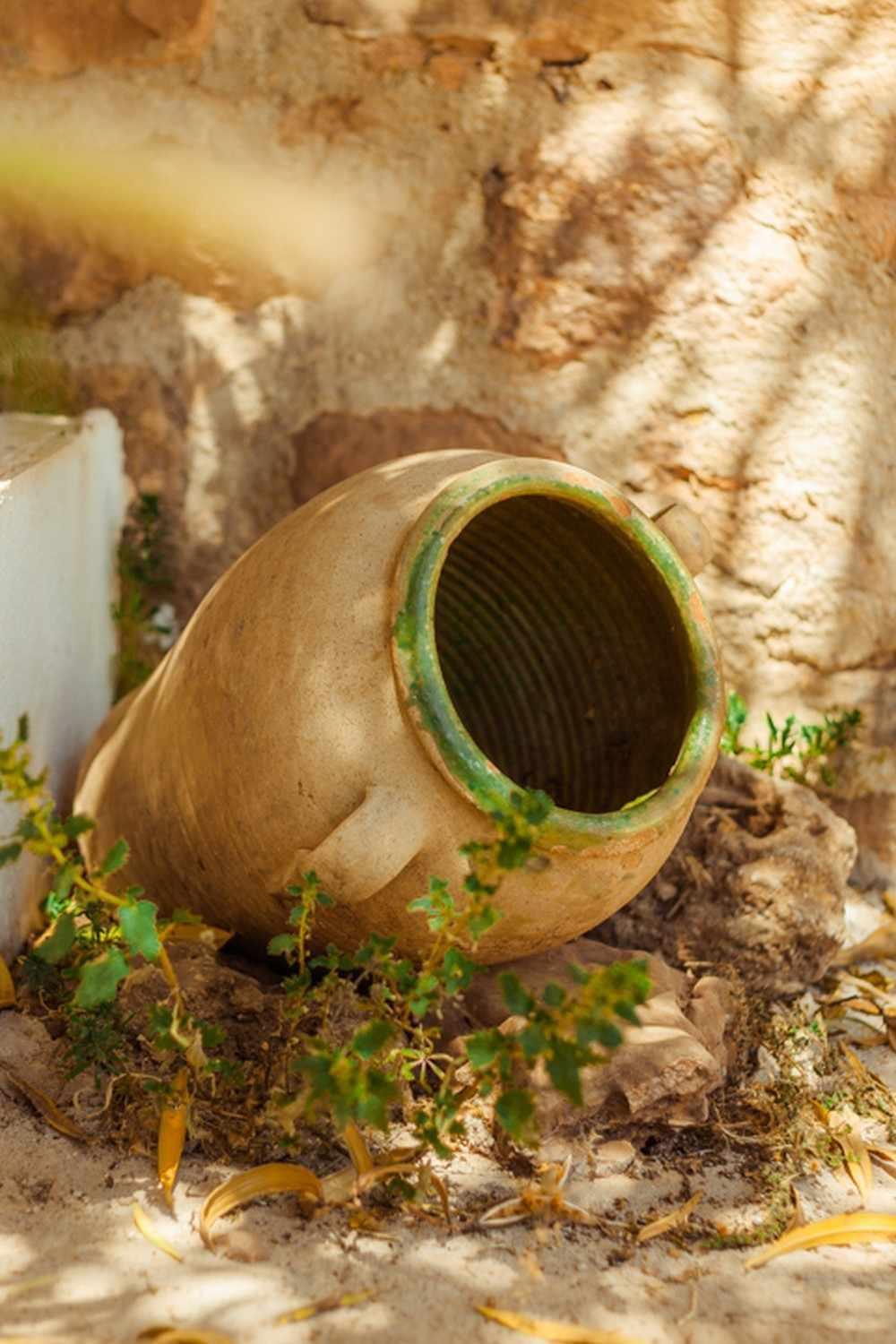 Finca El Vizconde Naturaleza Con Tus Hijos Arquillos エクステリア 写真